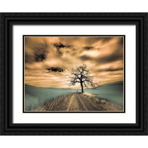USA-Washington State-Palouse Infrared of lone tree along side country road Black Ornate Wood Framed Art Print with Double Matting by Eggers, Terry