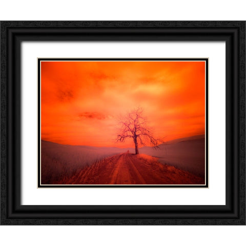 USA-Washington State-Palouse Infrared of lone tree along side country road Black Ornate Wood Framed Art Print with Double Matting by Eggers, Terry