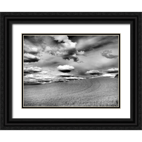 USA-Washington State-Palouse Infrared of rolling hills of crops and clouds Black Ornate Wood Framed Art Print with Double Matting by Eggers, Terry