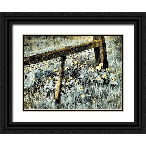 USA-Washington State Infrared capture of fence line and wildflowers Black Ornate Wood Framed Art Print with Double Matting by Eggers, Terry