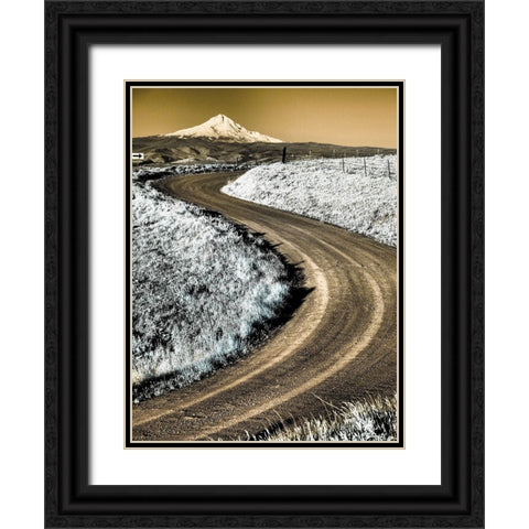 USA-Washington State Infrared capture of road running though wildflowers with Mount Hood background Black Ornate Wood Framed Art Print with Double Matting by Eggers, Terry