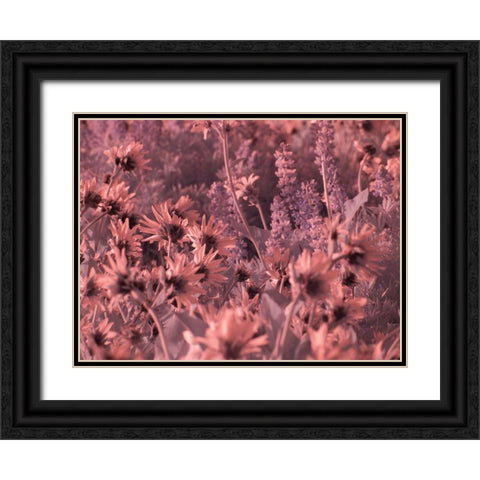 USA-Washington State Infrared capture wildflowers in bloom Black Ornate Wood Framed Art Print with Double Matting by Eggers, Terry