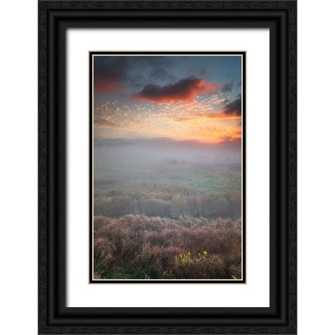 USA-West Virginia-Davis Fog over stream in valley at sunrise Black Ornate Wood Framed Art Print with Double Matting by Jaynes Gallery