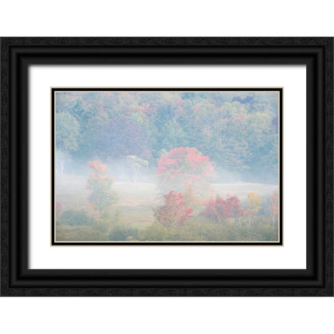 USA-West Virginia-Davis Foggy forest in fall colors Black Ornate Wood Framed Art Print with Double Matting by Jaynes Gallery