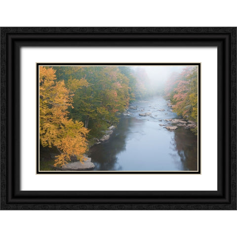USA-West Virginia-Davis Foggy stream in Blackwater State Park Black Ornate Wood Framed Art Print with Double Matting by Jaynes Gallery