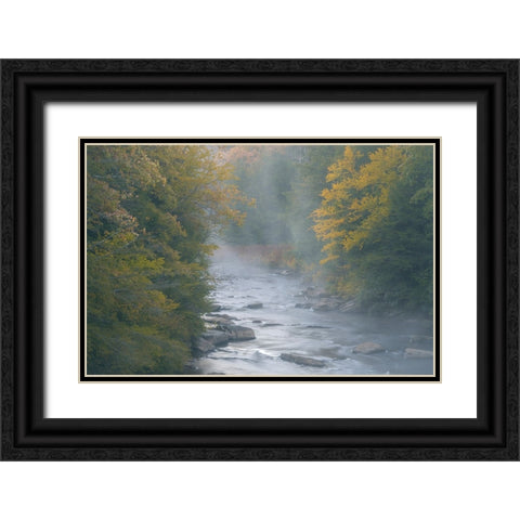 USA-West Virginia-Davis Foggy stream in Blackwater State Park Black Ornate Wood Framed Art Print with Double Matting by Jaynes Gallery