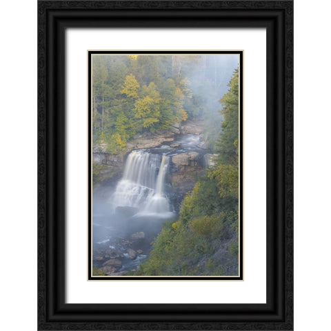 USA-West Virginia-Davis Overview of waterfall in Blackwater State Park Black Ornate Wood Framed Art Print with Double Matting by Jaynes Gallery