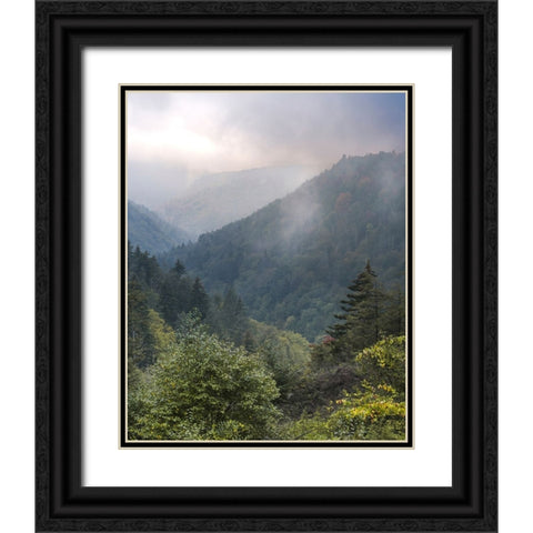 USA-West Virginia-Davis Forested mountain landscape in fog Black Ornate Wood Framed Art Print with Double Matting by Jaynes Gallery