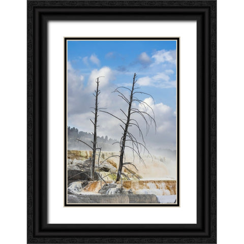 Black tree trunks and colorful terrace-Mammoth Hot Springs-Yellowstone National Park-Wyoming Black Ornate Wood Framed Art Print with Double Matting by Jones, Adam