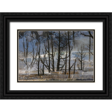 Black tree trunks and terrace-Mammoth Hot Springs-Yellowstone National Park-Wyoming Black Ornate Wood Framed Art Print with Double Matting by Jones, Adam