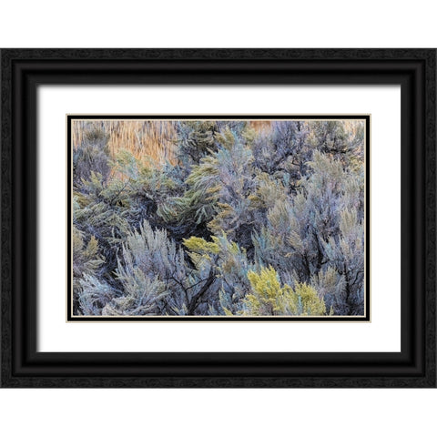 Mountain big sagebrush-Yellowstone National Park-Wyoming Black Ornate Wood Framed Art Print with Double Matting by Jones, Adam