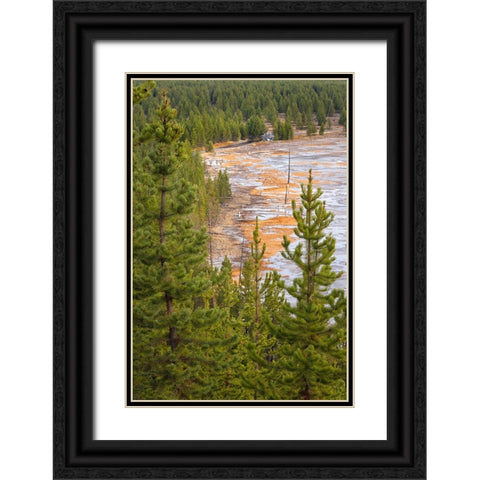 Elevated view of runoff water and bacterial mat-Grand Prismatic spring Black Ornate Wood Framed Art Print with Double Matting by Jones, Adam