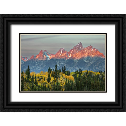Autumn view of Teton Range at sunrise-Grand Teton National Park-Wyoming Black Ornate Wood Framed Art Print with Double Matting by Jones, Adam