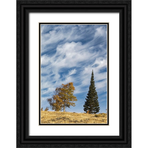 Two trees on ridge and cloud formation-Grand Teton National Park-Wyoming Black Ornate Wood Framed Art Print with Double Matting by Jones, Adam