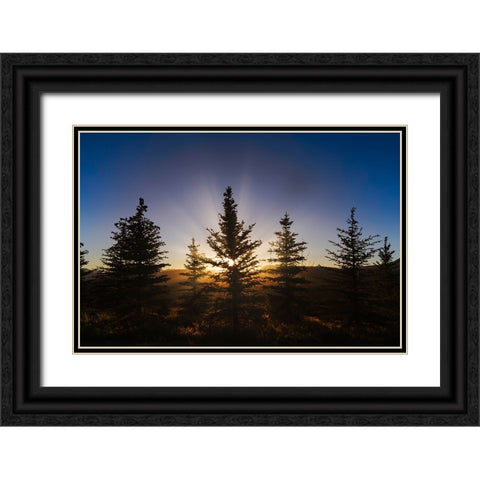 Pine trees silhouetted at sunset-Grand Teton National Park-Wyoming Black Ornate Wood Framed Art Print with Double Matting by Jones, Adam