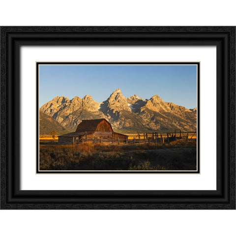 Historical Moulton barn at sunrise-Grand Teton National Park-Wyoming Black Ornate Wood Framed Art Print with Double Matting by Jones, Adam