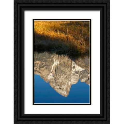 Teton Range reflected in Snake River from Schwabacher Landing-Grand Teton National Park-Wyoming Black Ornate Wood Framed Art Print with Double Matting by Jones, Adam