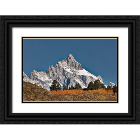 Aspen grove in front of Teton Range-Grand Teton National Park-Wyoming Black Ornate Wood Framed Art Print with Double Matting by Jones, Adam