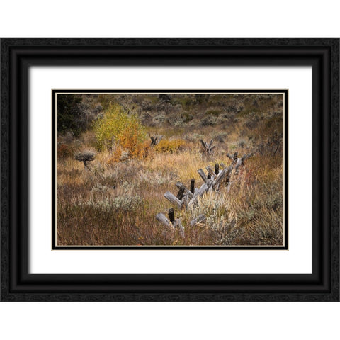 Rail fence in autumn-Grand Teton National Park-Wyoming Black Ornate Wood Framed Art Print with Double Matting by Jones, Adam