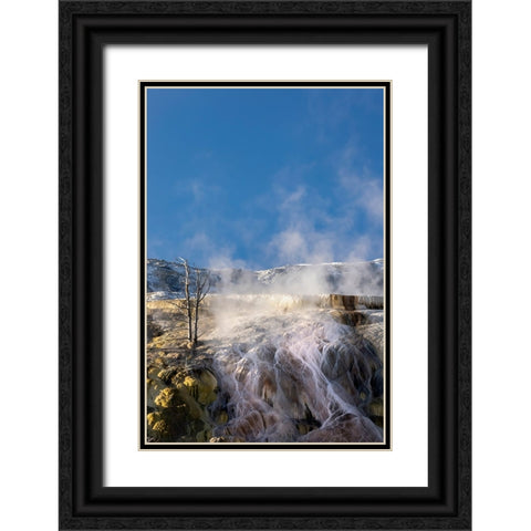 Colorful travertine slope with yellow and brown cyanobacteria-Mammoth Hot Springs Black Ornate Wood Framed Art Print with Double Matting by Jones, Adam