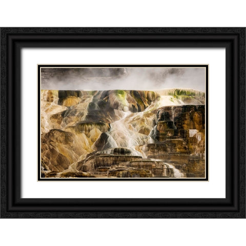 Colorful travertine slope with yellow and brown cyanobacteria-Mammoth Hot Springs Black Ornate Wood Framed Art Print with Double Matting by Jones, Adam