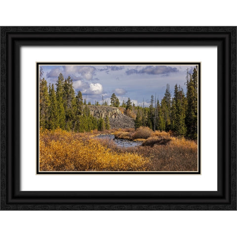 Columnar basalt formation at Sheepeater Cliffs-Yellowstone National Park-Wyoming Black Ornate Wood Framed Art Print with Double Matting by Jones, Adam