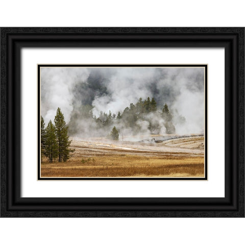 Grasses and mist in autumn meadow-Upper Geyser Basin-Yellowstone National Park-Wyoming Black Ornate Wood Framed Art Print with Double Matting by Jones, Adam