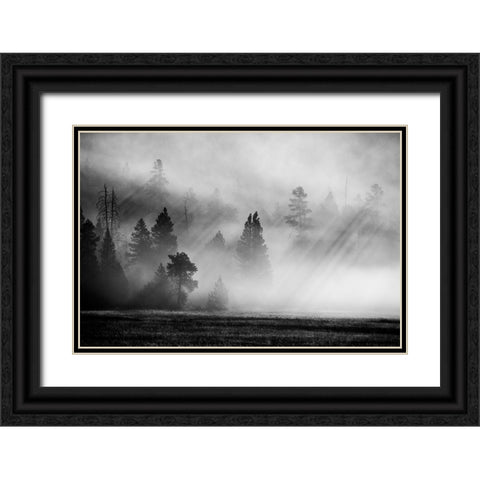 USA-Wyoming-Yellowstone National Park-Early morning fog with light rays through the trees Black Ornate Wood Framed Art Print with Double Matting by Hopkins, Cindy Miller
