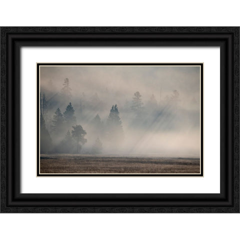 USA-Wyoming-Yellowstone National Park-Early morning fog with light rays through the trees Black Ornate Wood Framed Art Print with Double Matting by Hopkins, Cindy Miller