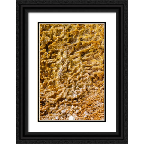 USA-Wyoming-Yellowstone National Park-Black Sand Basin-Detail of colorful thermophile bacteria mat Black Ornate Wood Framed Art Print with Double Matting by Hopkins, Cindy Miller