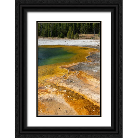 USA-Wyoming-Yellowstone National Park-Black Sand Basin-Emerald Pool-Green pool with yellow thermopi Black Ornate Wood Framed Art Print with Double Matting by Hopkins, Cindy Miller