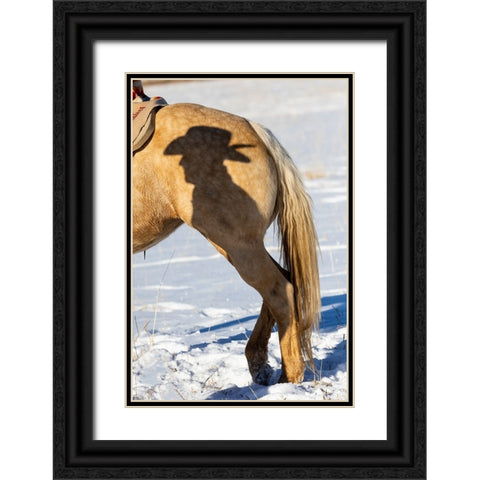 USA- Shell- Wyoming. Hideout Ranch Shadow of cowhand with hat on side of horse.  Black Ornate Wood Framed Art Print with Double Matting by Gulin, Darrell