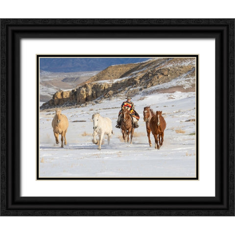 USA- Shell- Wyoming. Hideout Ranch cowboy riding and herding horses in snow.  Black Ornate Wood Framed Art Print with Double Matting by Gulin, Darrell