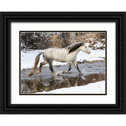 USA- Shell- Wyoming. Hideout Ranch lone horse in snow.  Black Ornate Wood Framed Art Print with Double Matting by Gulin, Darrell