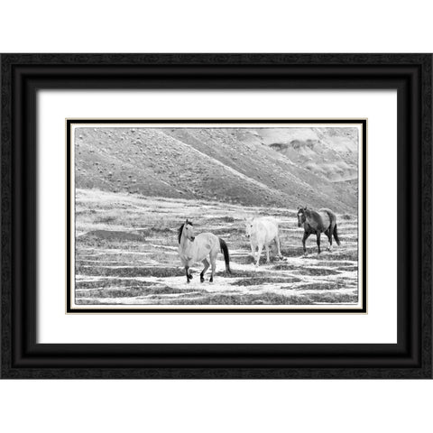 USA- Shell- Wyoming. Hideout Ranch with small herd of horses in snow.  Black Ornate Wood Framed Art Print with Double Matting by Gulin, Darrell