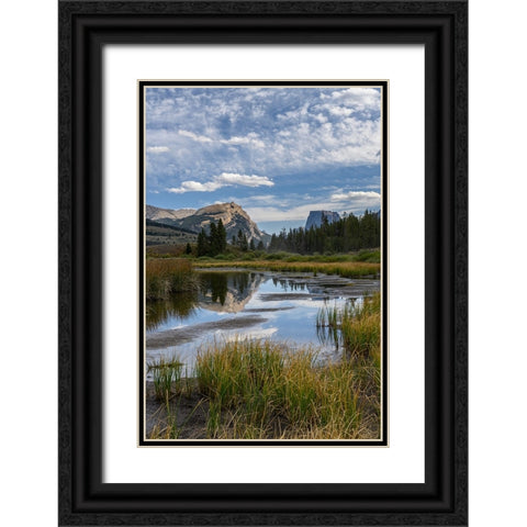 USA-Wyoming-White Rock Mountain and Squaretop Peak above Green River wetland-Wind River Mountains Black Ornate Wood Framed Art Print with Double Matting by Garber, Howie