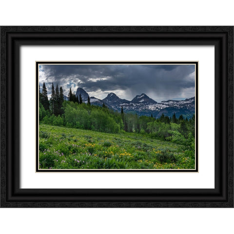 USA-Wyoming-Geranium and arrowleaf balsamroot wildflowers in meadow-west side of Teton Mountains Black Ornate Wood Framed Art Print with Double Matting by Garber, Howie