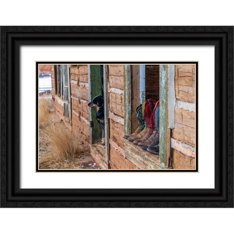 USA- Wyoming. Hideout Horse Ranch- boots on display.  Black Ornate Wood Framed Art Print with Double Matting by Looney, Hollice