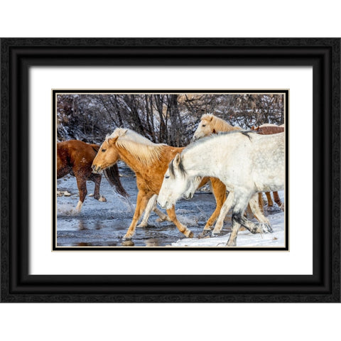 USA- Wyoming. Hideout Horse Ranch- horses crossing the stream.  Black Ornate Wood Framed Art Print with Double Matting by Looney, Hollice