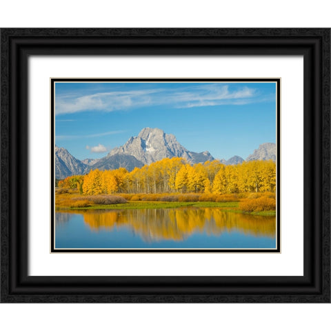 Wyoming- Grand Teton National Park. Mount Moran and golden Aspen trees Black Ornate Wood Framed Art Print with Double Matting by Wild, Jamie and Judy