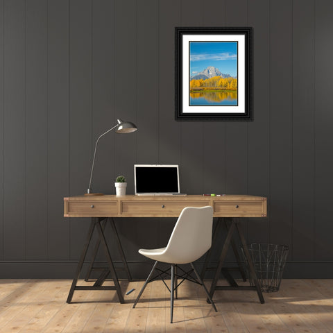 Wyoming- Grand Teton National Park. Mount Moran and golden Aspen trees Black Ornate Wood Framed Art Print with Double Matting by Wild, Jamie and Judy