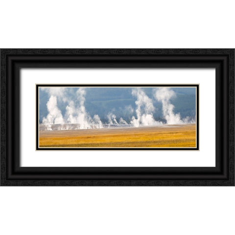 Wyoming- Yellowstone National Park. Thermal activity at Lower Geyser Basin Black Ornate Wood Framed Art Print with Double Matting by Wild, Jamie and Judy