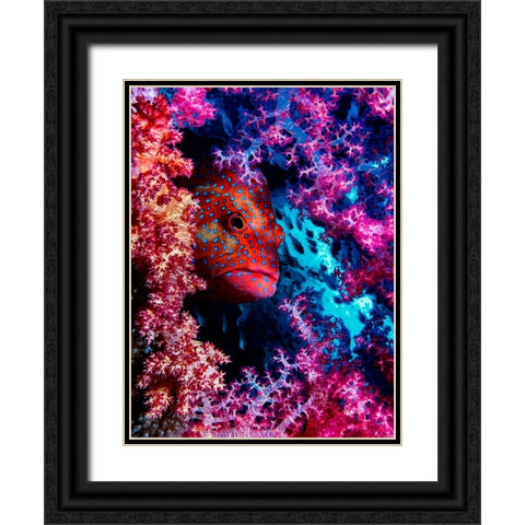 Coral Hind Black Ornate Wood Framed Art Print with Double Matting by Barchana, Dani