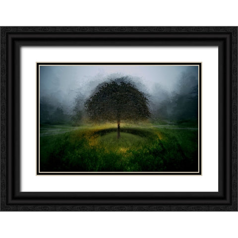 Eden Place Black Ornate Wood Framed Art Print with Double Matting by Malovrh, Milan