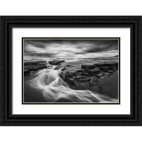 Dance Of Water Black Ornate Wood Framed Art Print with Double Matting by Zhu, Jingshu