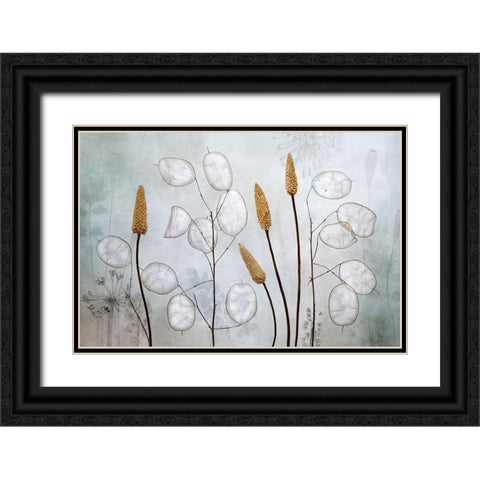 Lunaria Black Ornate Wood Framed Art Print with Double Matting by Disher, Mandy
