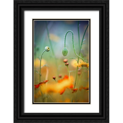 Poppy Field Black Ornate Wood Framed Art Print with Double Matting by Moore, Steve