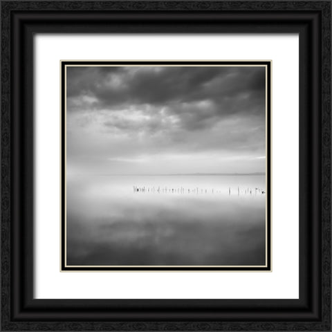 Sixty Shades Of Gray Black Ornate Wood Framed Art Print with Double Matting by Digalakis, George