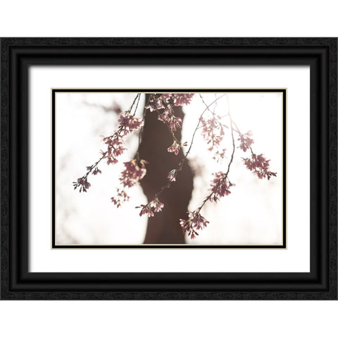 Sakura Black Ornate Wood Framed Art Print with Double Matting by Fujii, Tsuneya