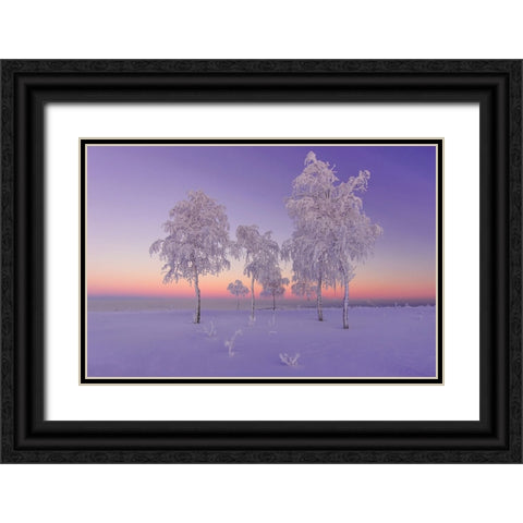 January Evening Black Ornate Wood Framed Art Print with Double Matting by Makhmud-Akhunov, Ruslan